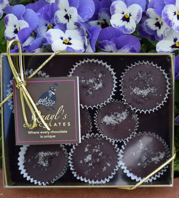 gourmet salted caramels made in vermont by Quayls Chocolates, warren Vermont